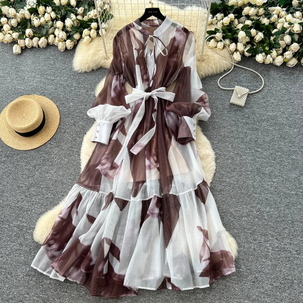 Printed Mesh Long Sleeve Maxi Dress