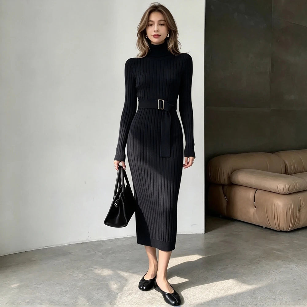Turtleneck Long Sleeve Knit Bodycon Sweater Dress