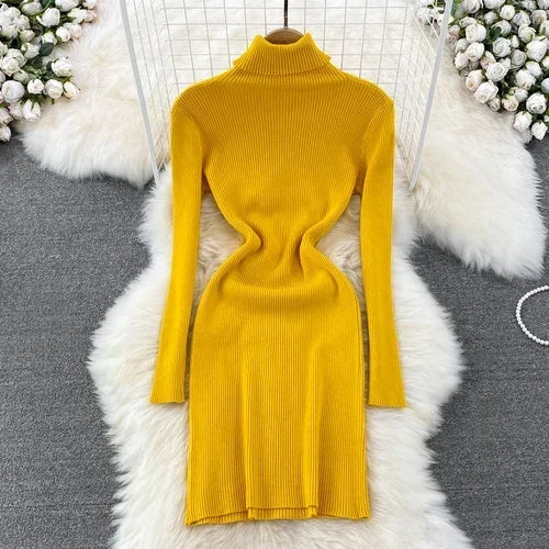 Turtleneck Knit Bodycon Pencil Dress