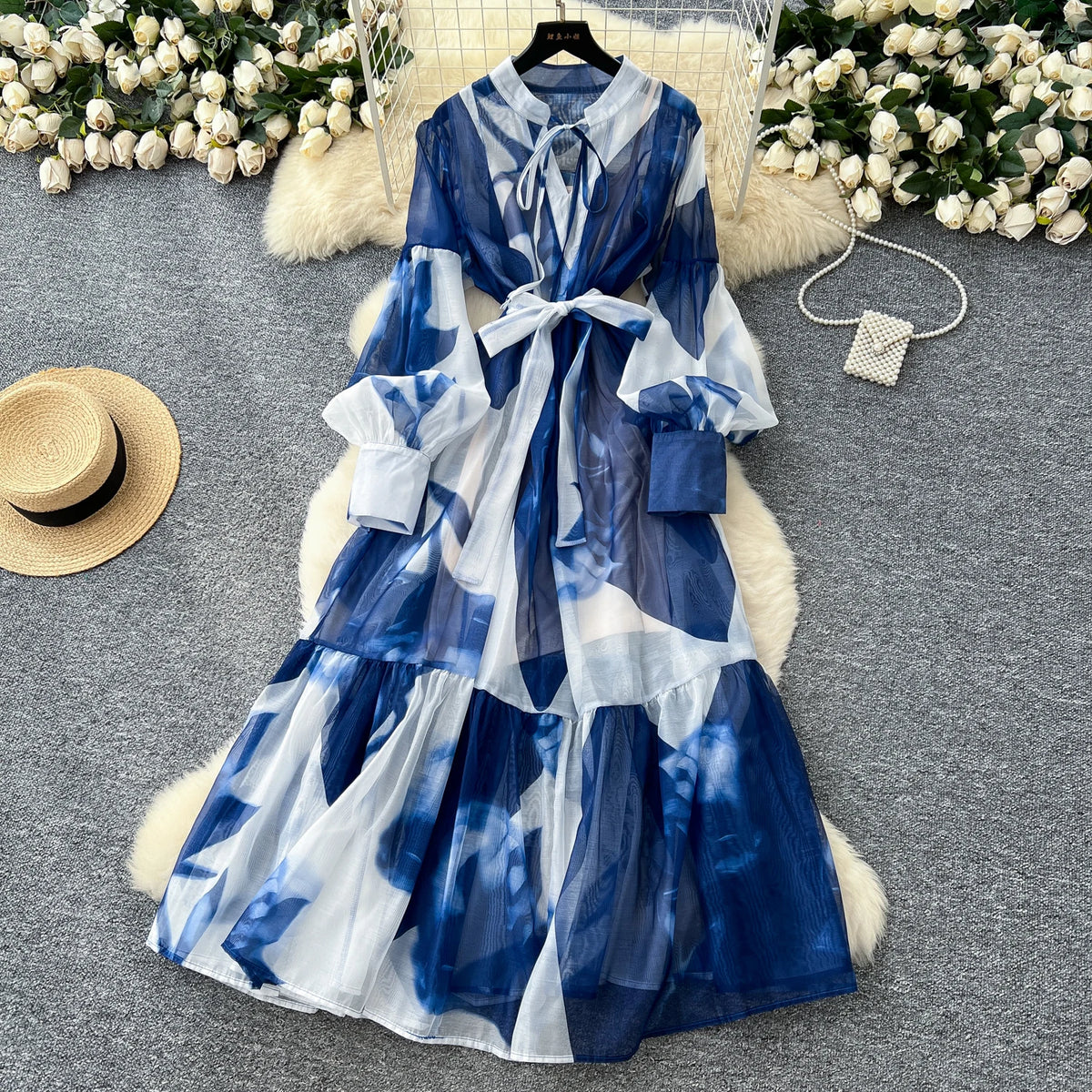Printed Mesh Long Sleeve Maxi Dress