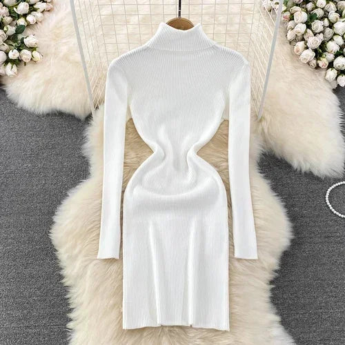 Turtleneck Knit Bodycon Pencil Dress