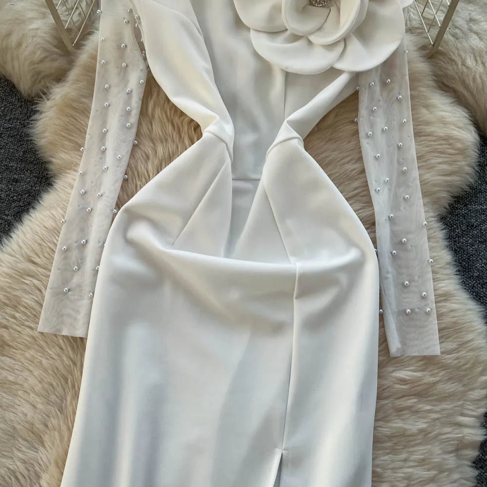 Beaded Long Sleeve Pencil Dress
