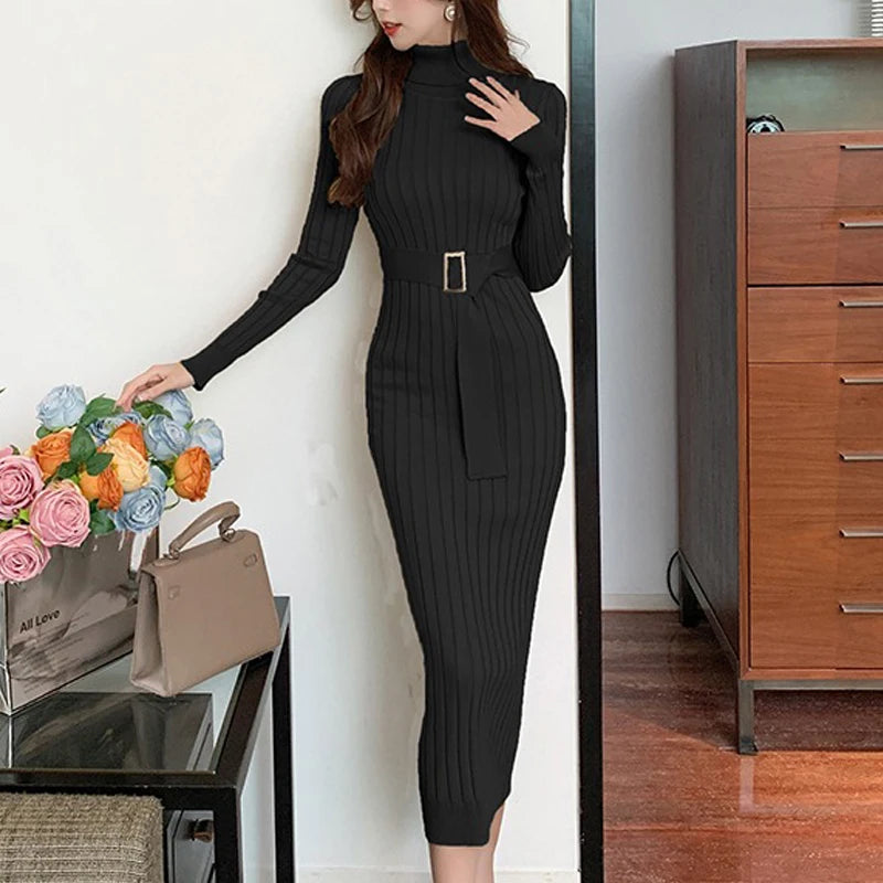 Turtleneck Belted Ribbed Sweater Dress