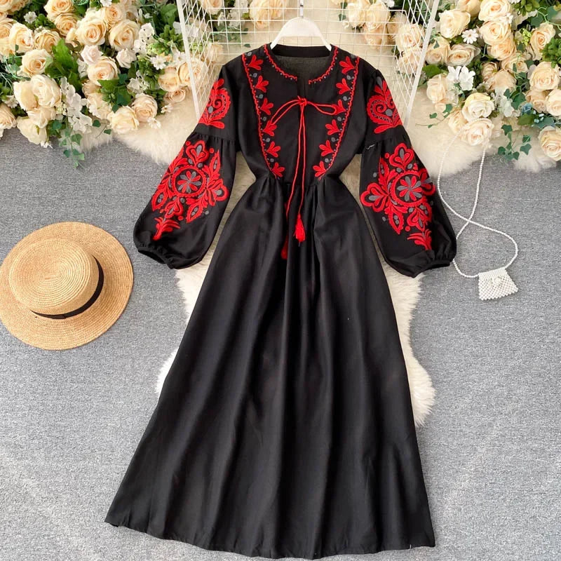 Embroidered Pleated Lantern Sleeve A-Line Dress