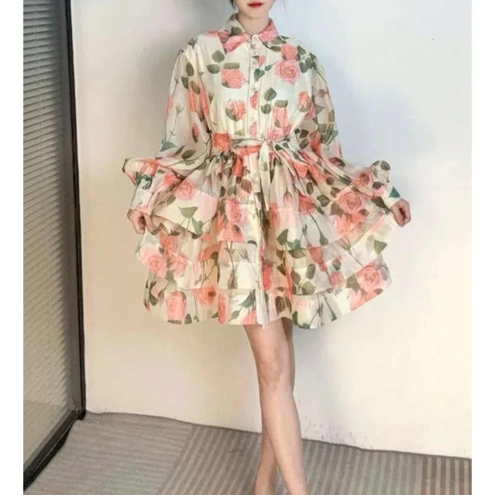 Polo Neck Print Lantern Sleeve A-Line Dress