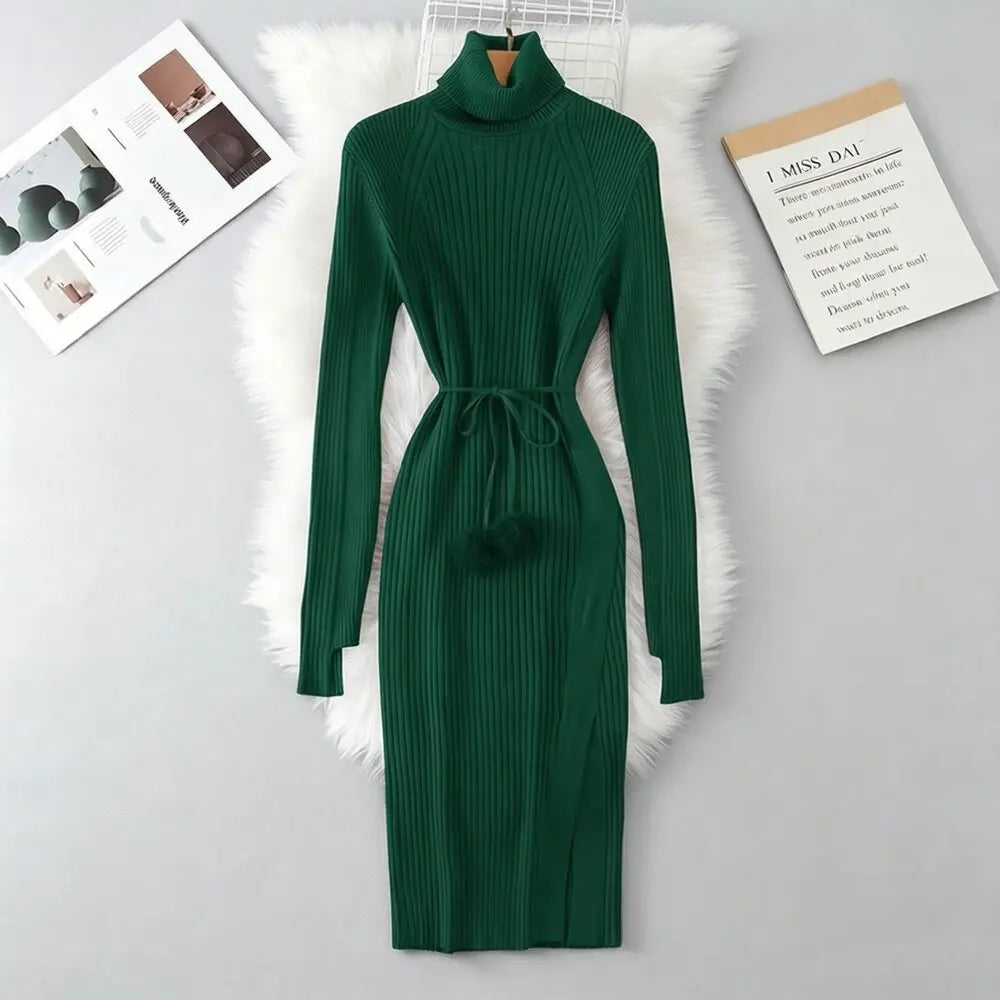 Chunky Turtleneck Knit Sweater Dress