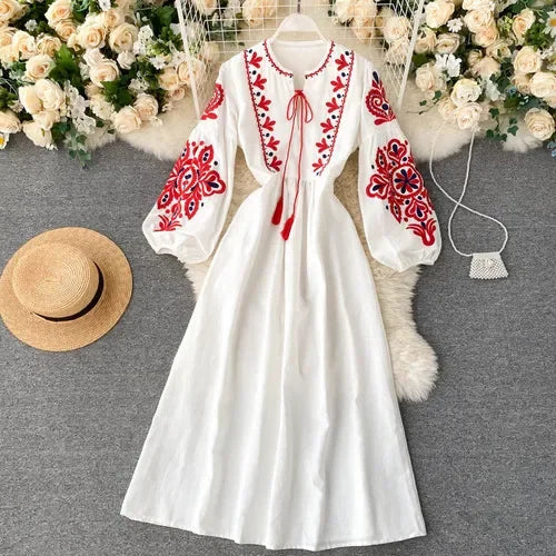 Embroidered Pleated Lantern Sleeve A-Line Dress