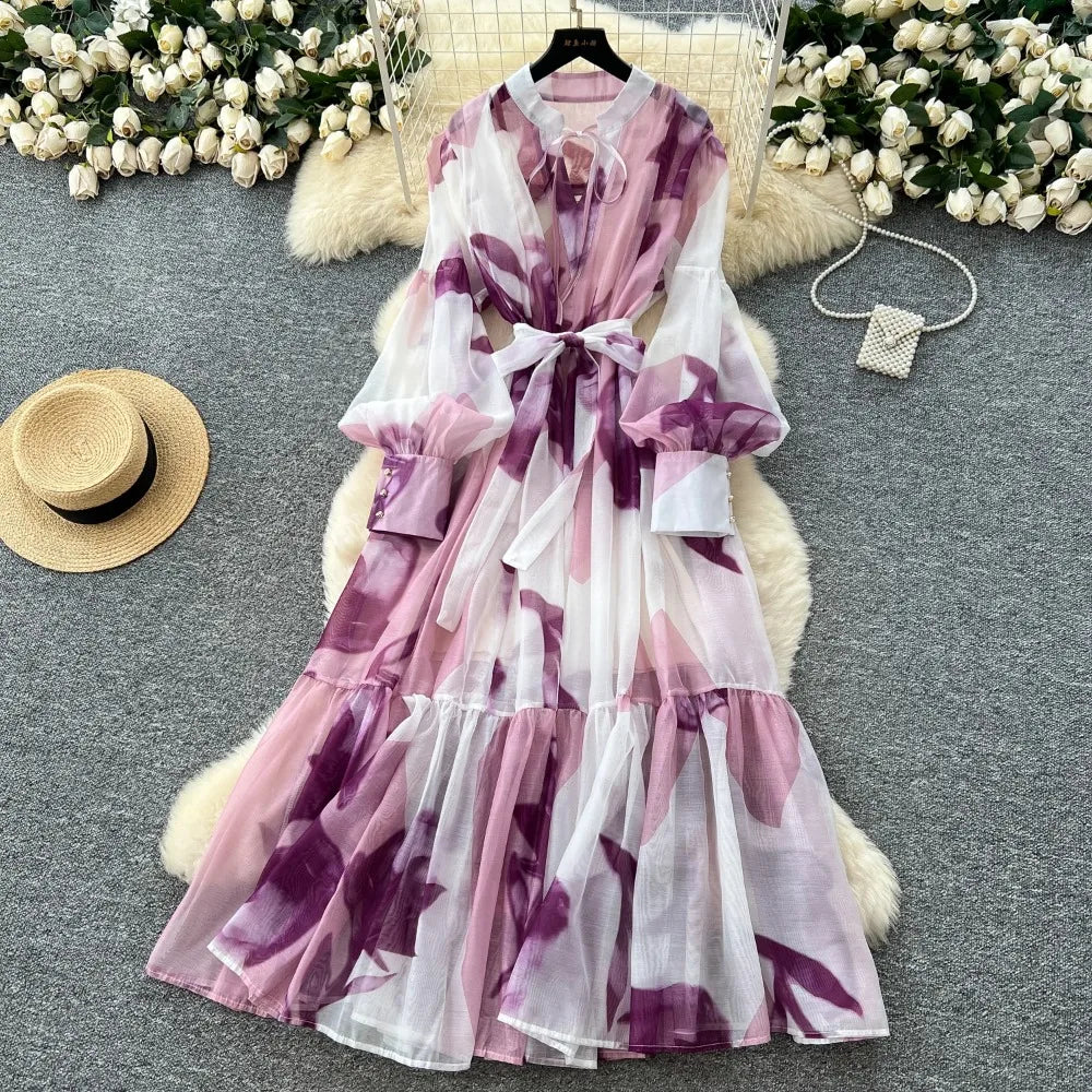 Printed Mesh Long Sleeve Maxi Dress