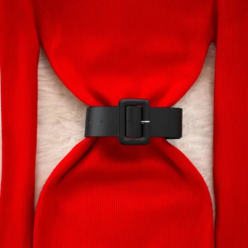 Belted Turtleneck Knit Pencil Dress