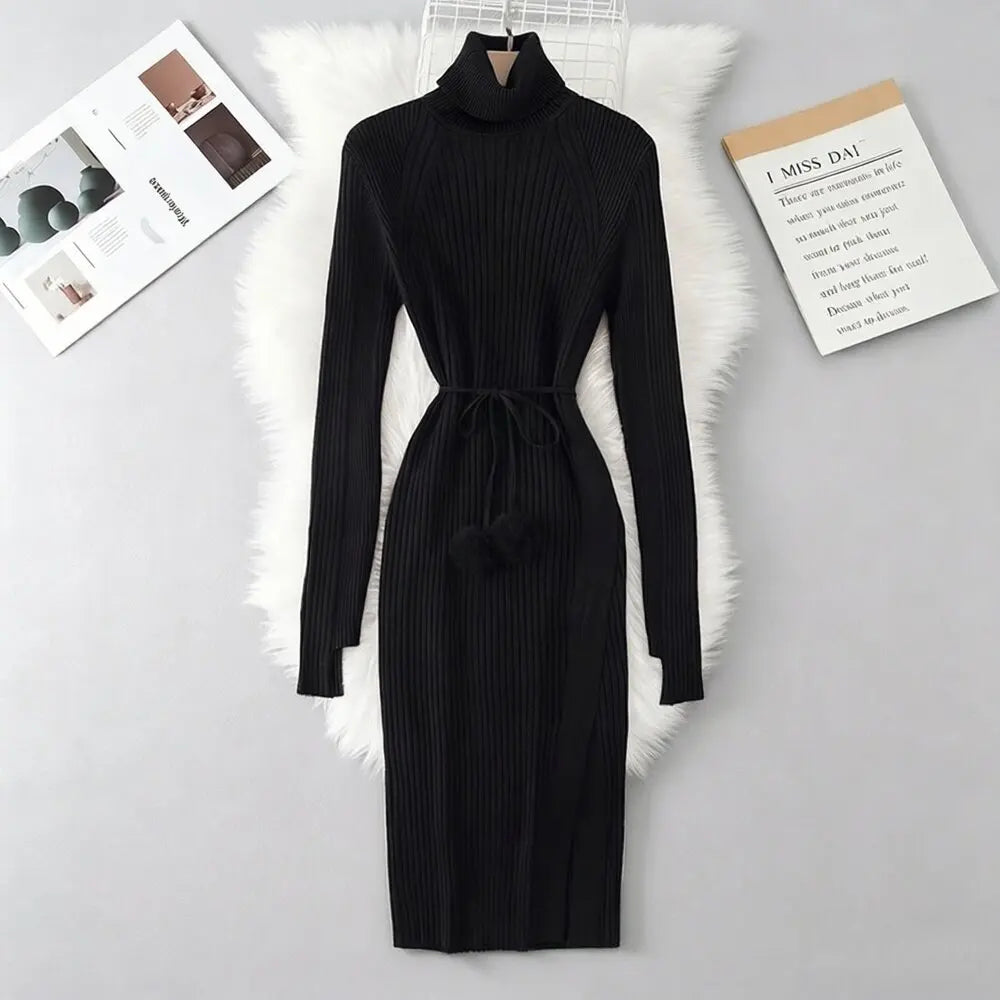 Chunky Turtleneck Knit Sweater Dress