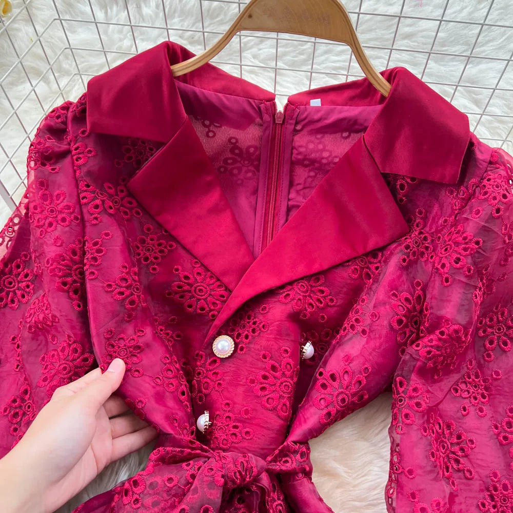 Embroidered Mesh Long Sleeve Dress